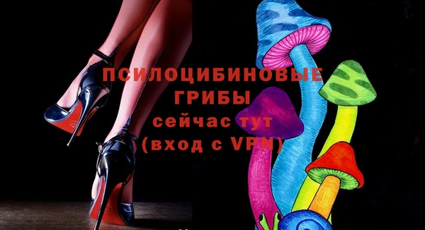 spice Алзамай