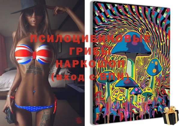 spice Алзамай