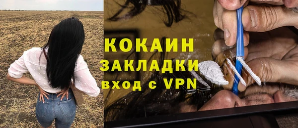 spice Алзамай